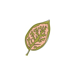 Wall Mural - One continuous line drawing cute tropical leaf aglaonema plant. Printable decorative exotic houseplant concept for home wall decor ornament. Modern single line draw graphic design vector illustration