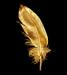gold feather. isolated, on black background
