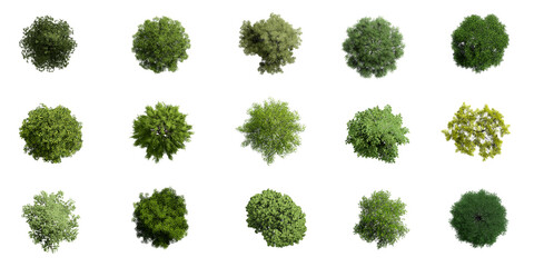 collection of 3d top view green trees isolated on white background , use for visualization in archit
