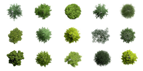 collection of 3d top view green trees isolated on white background , use for visualization in archit