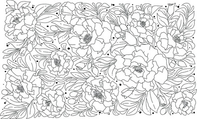  Black and white hand drawing floral. Sketch colouring book flower. 