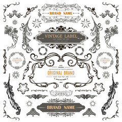 Wall Mural - set of vintage decorations flourishes elements.