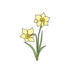 Wall Mural - One single line drawing of beauty fresh narcissus for garden logo. Printable decorative daffodil flower concept for wedding invitation card. Trendy continuous line draw design vector illustration