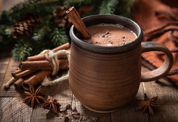 Cup of hot chocolate with cinnamon and anise