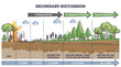 Secondary succession as ecological recovery after wildfire outline diagram. Labeled educational years timeline with pioneer, intermediate species and climax community after event vector illustration.