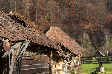 Canvas Print - Old house in Rau Sadului, Romania