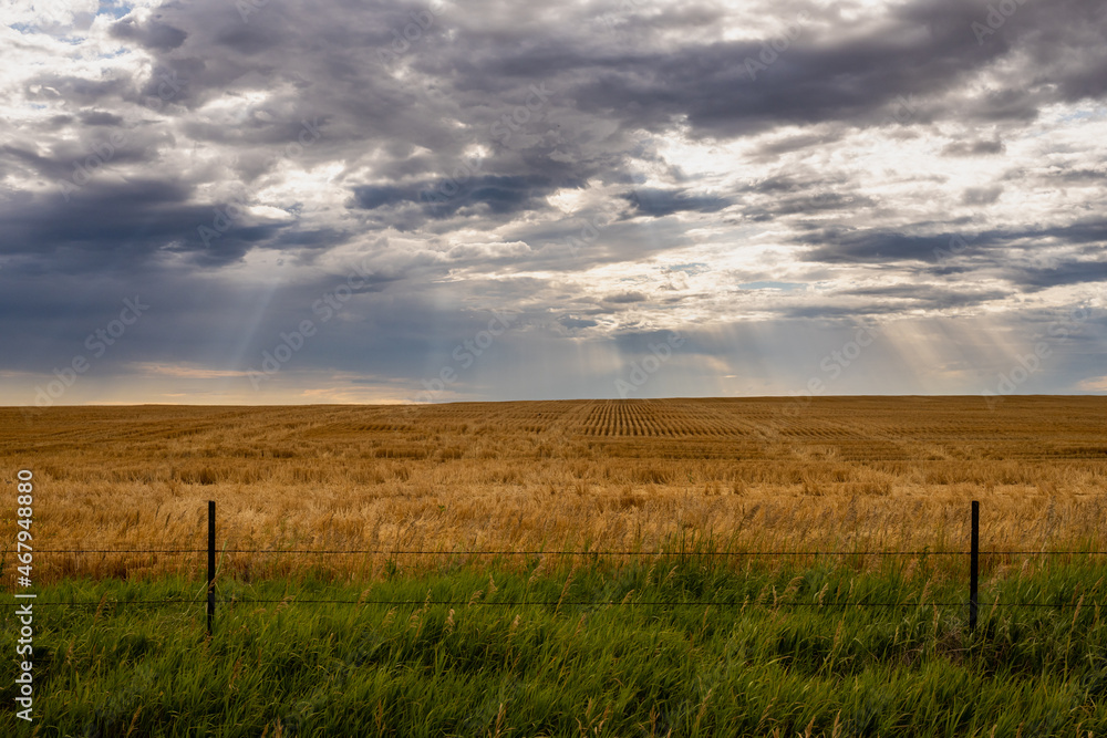 Sun Rays Over Harvested Field