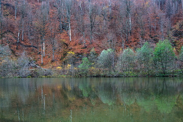 Wall Mural - Autumn colors