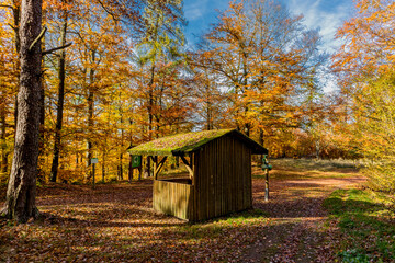 Wall Mural - Herbstspaziergang rund um die Wartburgstadt Eisenach am Rande des Thüringer Waldes - Thüringen