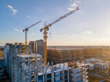 Fototapeta Zwierzęta - Cranes on the construction site