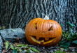 Halloween deko Kürbis mit Gesicht