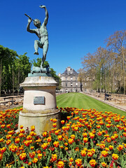 Sticker - Le jardin du Luxembourg, Paris