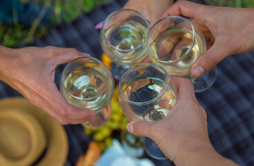 Wall Mural - People friends on a picnic drink wine. Selective focus.