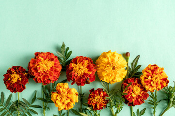 Wall Mural - Orange marigold flowers on a green background. Top view, copy space