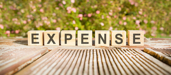 Poster - the word expense written on the cubes in black letters