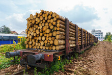 Freight Cars Loaded With Logs Are On The Railroad Tracks.