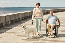 Portrait Of Adult Couple With Man In Wheelchair Walking Dog Outdoors By River, Copy Space