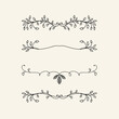 vector design element, beautiful fancy leaves vines curls and swirls divider or underline designs, black ink lines. Projects and wedding design element.