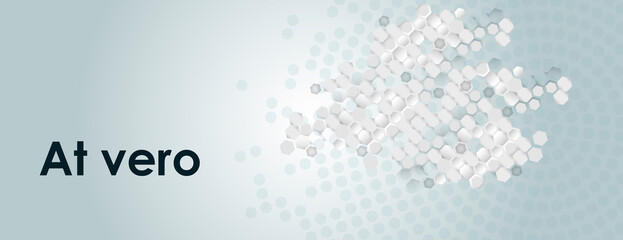 Leinwandbilder - Vector banner design. White background with hexagon pattern. Hexagons geometric element concept network