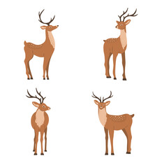 Cute noble sika deer. Set of reindeers with antlers in different poses isolated on white background. Ruminant mammal animal. Vector illustration in flat cartoon style.