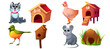 Animals with their habitats, dog and kennel, bird and birdhouse. Vector cartoon set of cute wild animals and pets with their home, chicken, nest, mouse and burrow isolated on white background