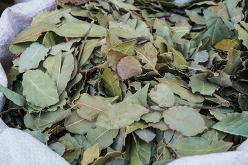 Wall Mural - Dried bay laurel leaves on display at street market in Morocco