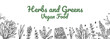 © Kseniia - Hand drawn herbs and greens horizontal design. Vector illustration