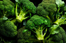Fresh Green Broccoli. Macro Photo. Top View.