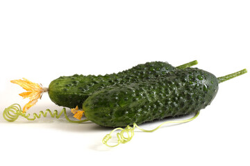 Poster - Cucumbers isolated on white