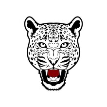 Roaring Cheetah Head Vector, Panther Head Leopard Tiger Jaguar Puma Design Inspiration