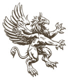 Heraldic griffin digital ink drawing