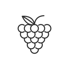 Wall Mural - Grape line icon. High quality black vector illustration.