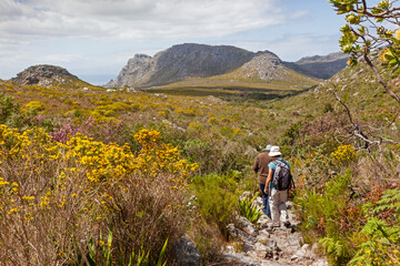 women hiking in table mountain national park