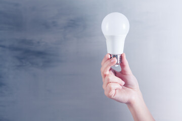 Wall Mural - a woman's hand holding a light bulb