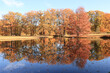 Goldener Herbsttag im Branitzer Park in Cottbus; Blick über den Pyramidensee im Fürst-Pückler-Park