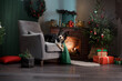 Dog by the Christmas tree and fireplace. New Year's mood. Border Collie in holiday scenery, at home