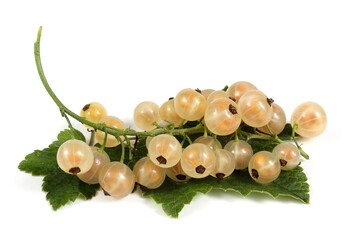 Sticker - White currant with leaf