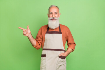 Wall Mural - Portrait of attractive cheerful grey-haired man showing copy empty space place ad isolated over green color background