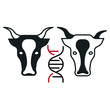 genetically modified animals. animal gene studies. animal cloning. editable vector.
