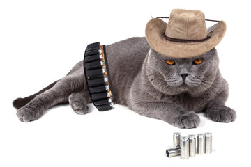 Sticker - Funny cowboy cat