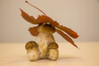 autumn mushrooms