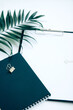 Black clipboard with blank paper, golden clamp and evergreen plant with copy space. Close up