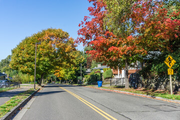 Fall Burien Street 2