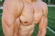 © VICHIZH - sporty man with pumped up abs in the park while workout exercise lifestyle
