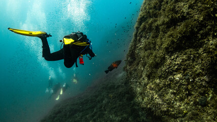  Fotografía submarina en la Reserva de Islas Hormigas, en Cabo de Palos, Murcia, España.