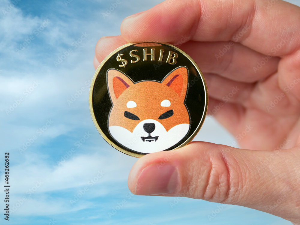 Rostock, Germany - november 09, 2021: woman holding one Shiba inu token, coin with Shibainu symbol, concept of investing and trading in Shiba token