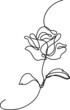 Rose one line drawing vector