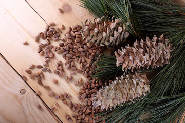 Canvas Print - Cedar pine nuts