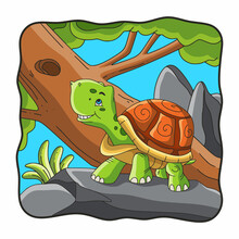 Cartoon Illustration The Turtle Is Walking On The Rock
