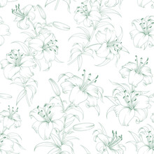 Seamless Pattern From Flowers Of Lilies On A White Background.